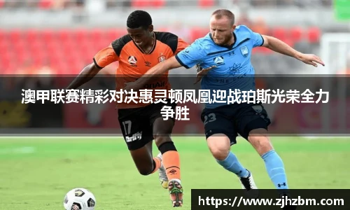 澳甲联赛精彩对决惠灵顿凤凰迎战珀斯光荣全力争胜